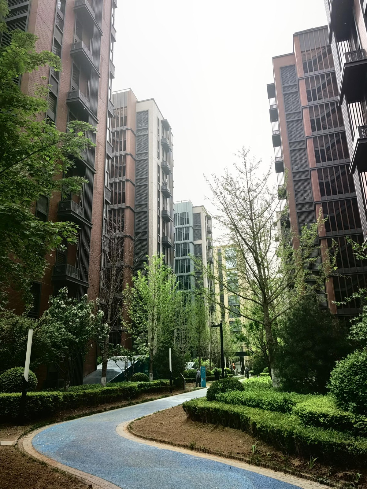 1683770372636997.jpg 1683770372636997.jpg