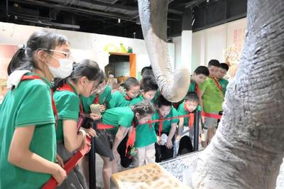 揭秘自然來信，共建綠色家園 | 青少年科學講壇引領自然探索新風尚