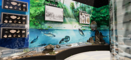 青藏高原綜合科學考察與研究古生物展廳 在拉薩之巔，探尋生命演化的史詩